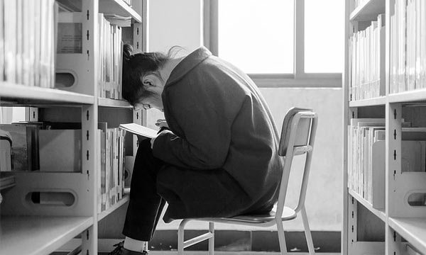 免费ddos网页端